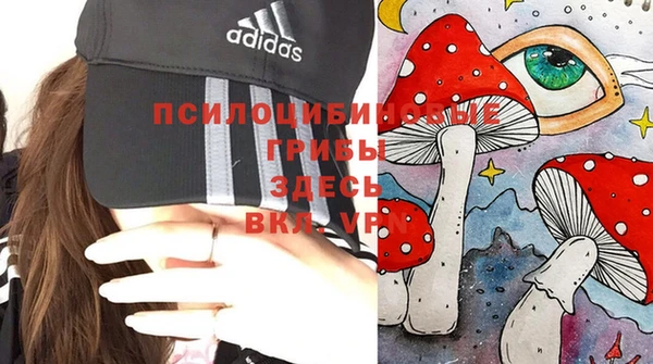 гидра Алзамай