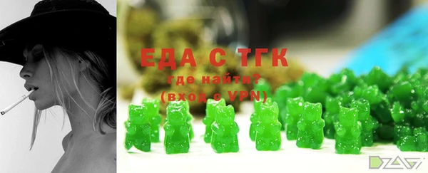 гашик Алексин