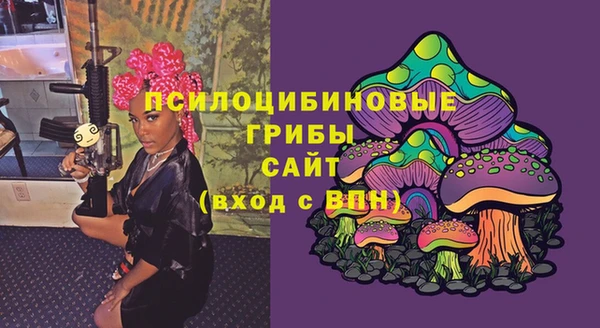 гидра Алзамай
