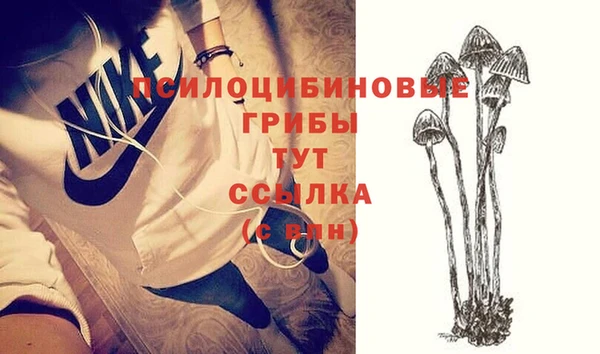 PSILOCYBIN Алексеевка