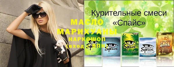 гашик Алексин