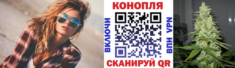 Шишки марихуана планчик Кирсанов